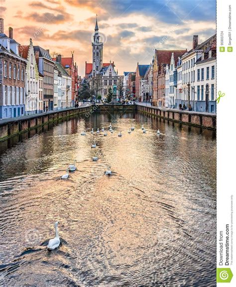 Swans on Spiegelrei Canal in Winter Evening, Bruges, Belgium Editorial ...