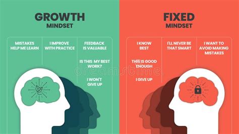 Mindset Fixo E Mindset De Crescimento - Mentalidade De Crescimento Vs Vetor De Mindset Fixo Para Apresentação ...