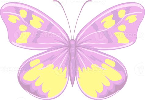 Illustration Beautiful Butterfly Paint Png