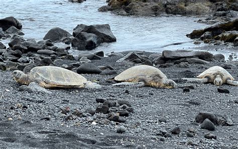 Big Island 7 day Itinerary — travelwildnow.com