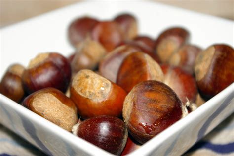 roast chestnuts quick  easy dinner recipes