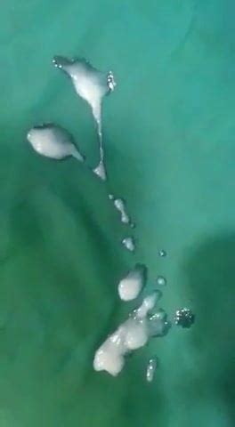 Kari Kollo Gay Asian Handjob Porn Video XHamster