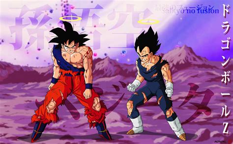 dragon ball z goku and vegeta wallpaper 30