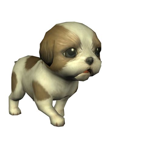 Shih Tzu Dog Free Stock Photo - Public Domain Pictures