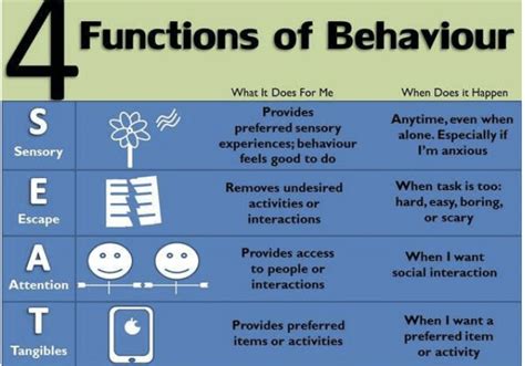 Functions Of Behavior Goally