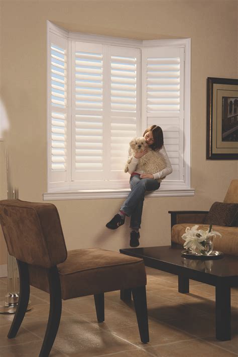 Is It Time to Change Your Window Treatment? | Timeless Blinds
