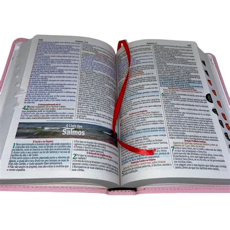 Biblia Cor De Rosa - Bíblia Cor Rosa Letra Gigante Capa Flexível Com Harpa e Índice Colorid