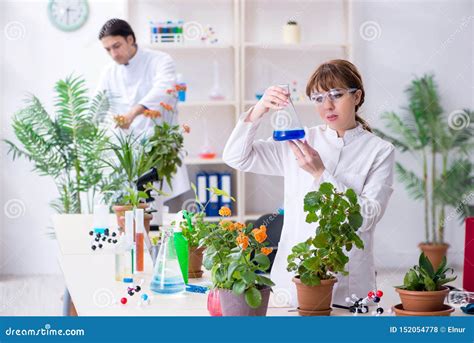 young botanist working   lab stock photo image