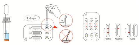 Cpvccvgia Ag Combo Test Kit Manufacturer Monggo