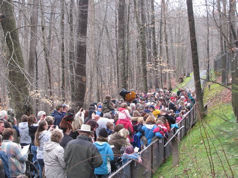 West Virginia State Wildlife Center To Celebrate Groundhog Day Outdoorhub