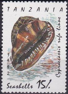 Stamp Red Helmet Shell Cypraecassis Rufa Tanzania Sea Snails And