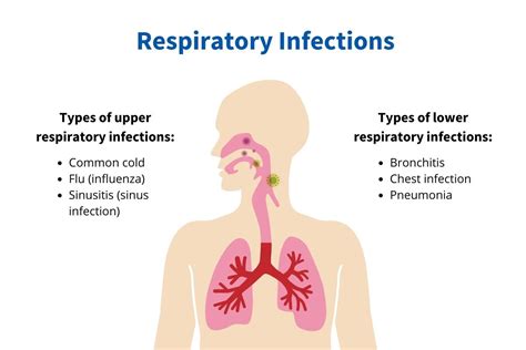 Respiratory Infections in Children – How to Prevent? | BioCair