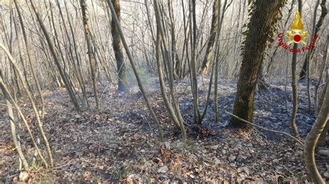 Sassoferrato Mangiato Dal Fuoco Un Ettaro Di Sottobosco Qdm Notizie