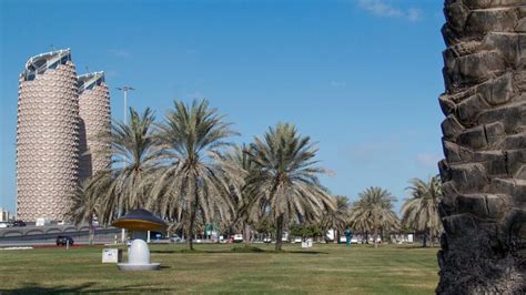Photos Abu Dhabis Dolphin Park Gets A Face Lift News Khaleej Times