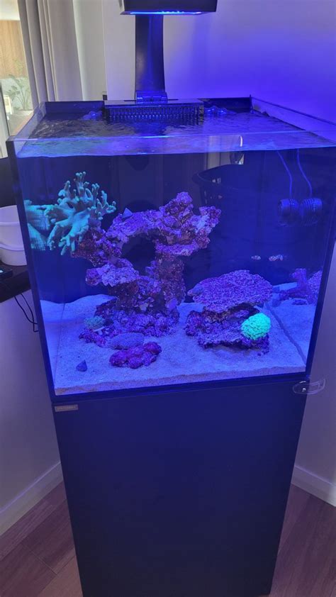 Alkalinity Dosing Issue Reef2reef Saltwater And Reef Aquarium Forum