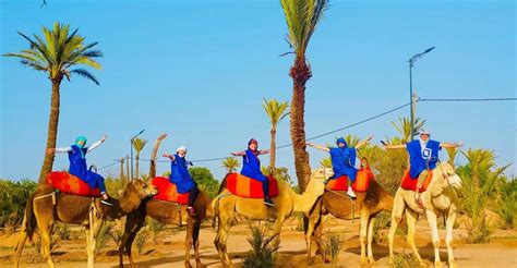 Marrakech: Sunset Camel Ride in Palmeraie | GetYourGuide