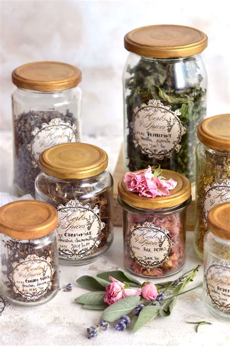 Diy Herbs And Spices Apothecary Jars Dreams Factory