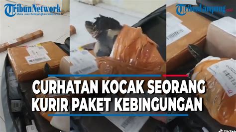 Curhatan Kocak Seorang Kurir Paket Kebingungan Usai Dapat Paketan Unik