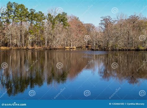 Waccamaw River From Conway Riverwalk Stock Image Image Of Serene