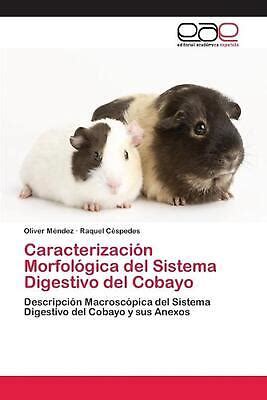 Caracterizacin Morfolgica Del Sistema Digestivo Del Cobayo By Oliver M