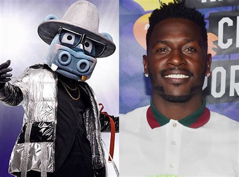 The Hippo From The Masked Singer Meet The 12 Disguised Celebrity