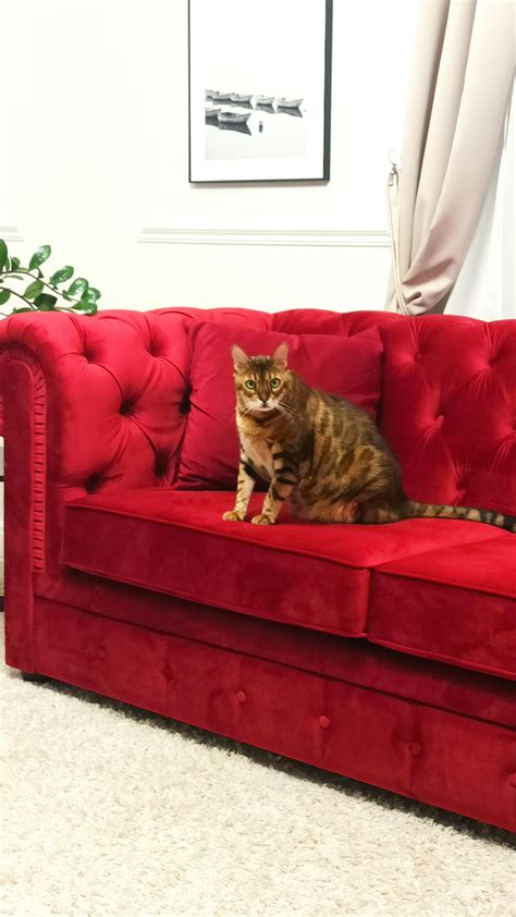 Диван Честерфилд большой прямой зеленый - купить за 77994 руб в ...