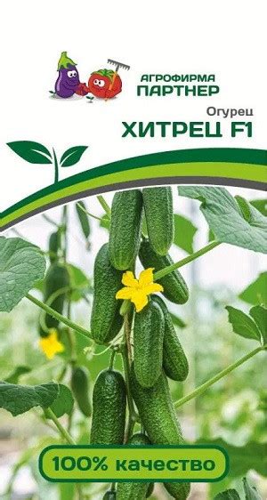 Купить "3097P Огурец ХИТРЕЦ F1 5 шт " По 110 руб. - 🌷Семена ТМ Партнер🌷