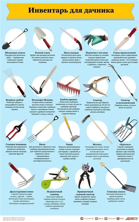 Pin by Ма Шка on Во саду ли, в огороде.... | Backyard farming, Garden ...