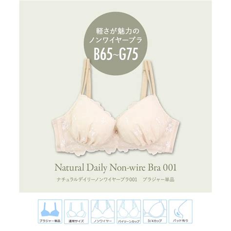 fran de lingerie ノンワイヤー ブラジャー 40代 高校生 かわいい セクシー レディース 下着 フランデランジェリー ndn001b243c ナチ