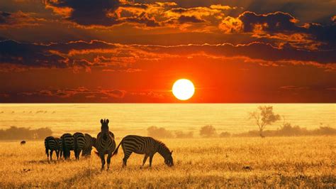 Kruger National Park Wallpapers Wallpaper Cave