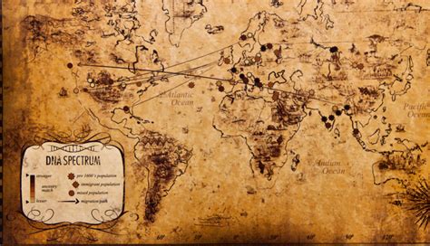 DNA Test from DNA Spectrum Shows Heritage Like a Map of the Past