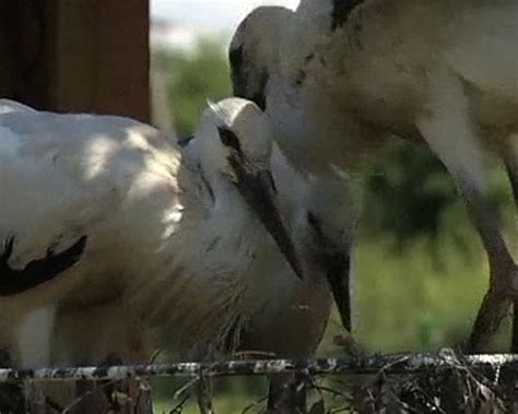 Sputnik newspaper bureaus are closing across several major cities 15