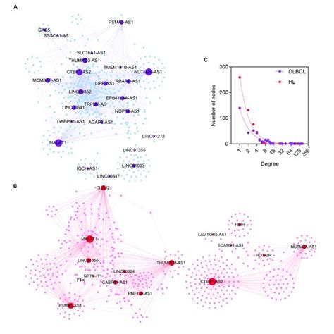 The Differentially Expressed Lncrnas Mrnas And Mirnas In Dlbcl And