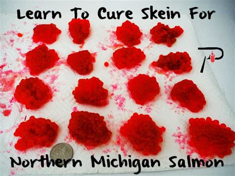 Learn To Cure Skein For Northern Michigan Salmon Pautzke Bait Co