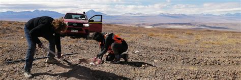 INVESTIGADORES AS DEL DGF Y AMTC INICIAN INSTALACIÓN DE EQUIPOS PARA