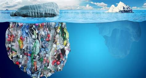 How plastic pollution harms marine life - SAFETY4SEA