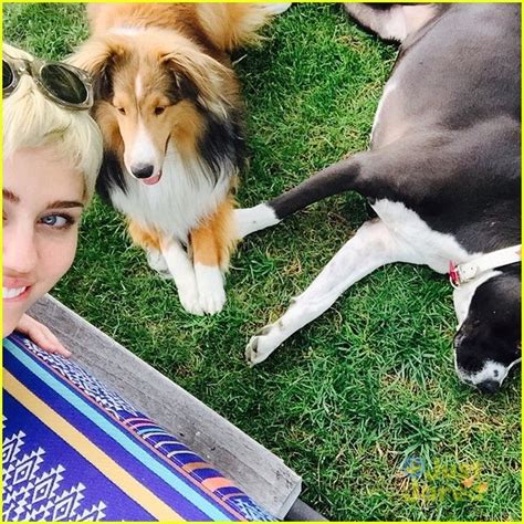 Full Sized Photo Of Miley Cyrus Bikini Grinds Against Pole Video