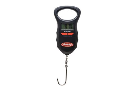 digital fish scale  lb iron river