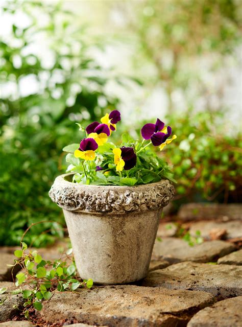 Jardinieres, Planters, Troughs & Urns - Unique Stone | Antique & Garden