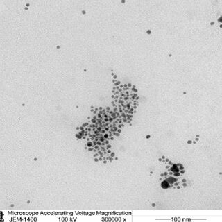 The Hydrodynamic Size And Zeta Potential Of Synthesized Fa Agnps