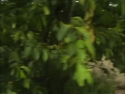 Milf Fucking In The Rural Scenery Watch Part 2 On