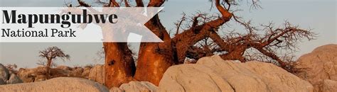 Mapungubwe National Park | National Parks Guy