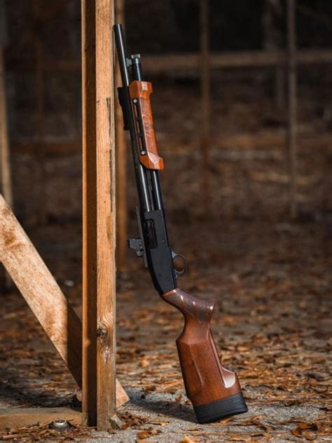 Gladiatore Shotgun Stocks Woox