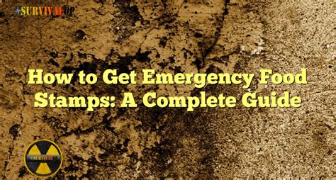 How To Get Emergency Food Stamps A Complete Guide Survivalop