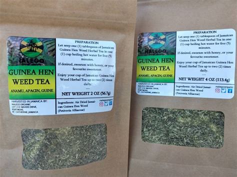 Jamaican Guinea Hen Weed Tea Petiveria Alliacea - Etsy