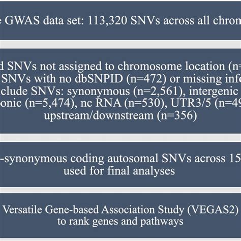 SNVs and corresponding genes used in final analysis (42,335 cases and ...