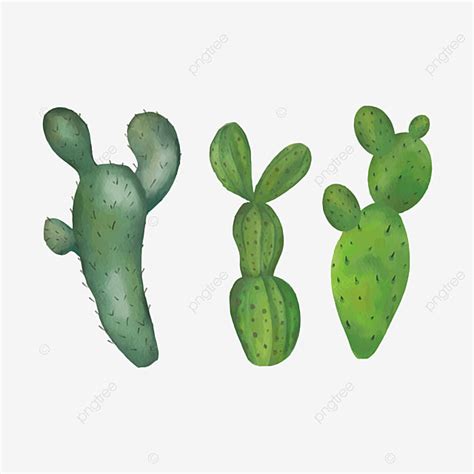 Cactus Collection Vector Hd Images Watercolor Cactus Collection