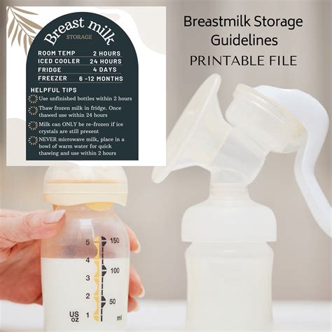Breastmilk Storage Guidelines PRINTABLE | New Mom Essential | Lactation