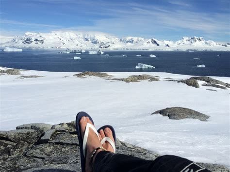 5 Reasons To Visit Antarctica Sooner Rather Than Later