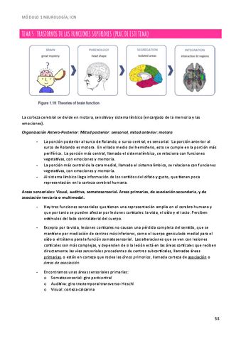 MODULO 1 NEURO TEMA 5 TRASTORNOS DE LAS FUNCIONES SUPERIORES Pdf